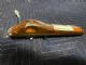 Isuzu F-Series 2007 onwards RF Indicator Light