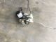 Isuzu F-Series FRR FRR90 Euro 4 2008-2010 RF Door Actuator